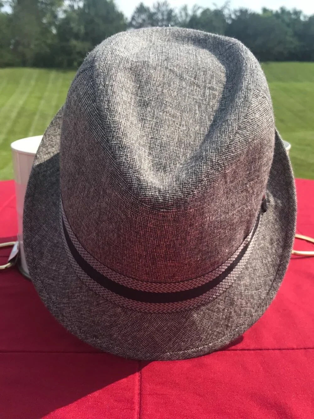 Stetson fedora grey
